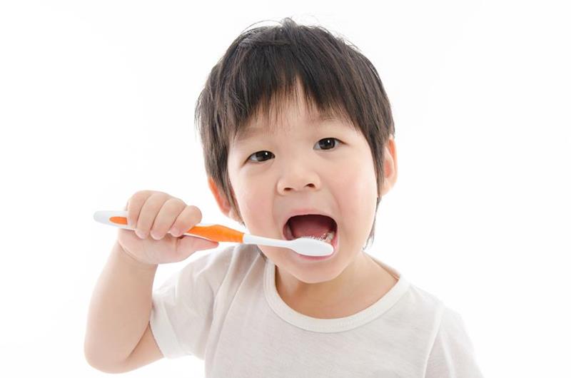 Pacifiers and Thumb Sucking